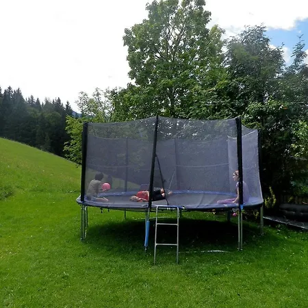 Bio-hof Moslehen.2 * Eben Im Pongau