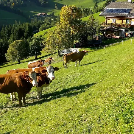 Bio-hof Moslehen.2