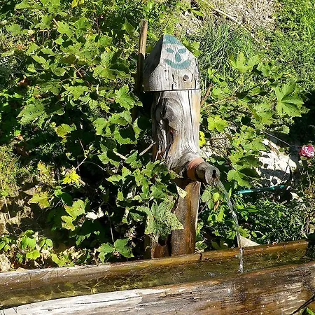 Bio-hof Moslehen.2 Eben Im Pongau